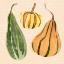 Picture of DECORATIVE GOURD II
