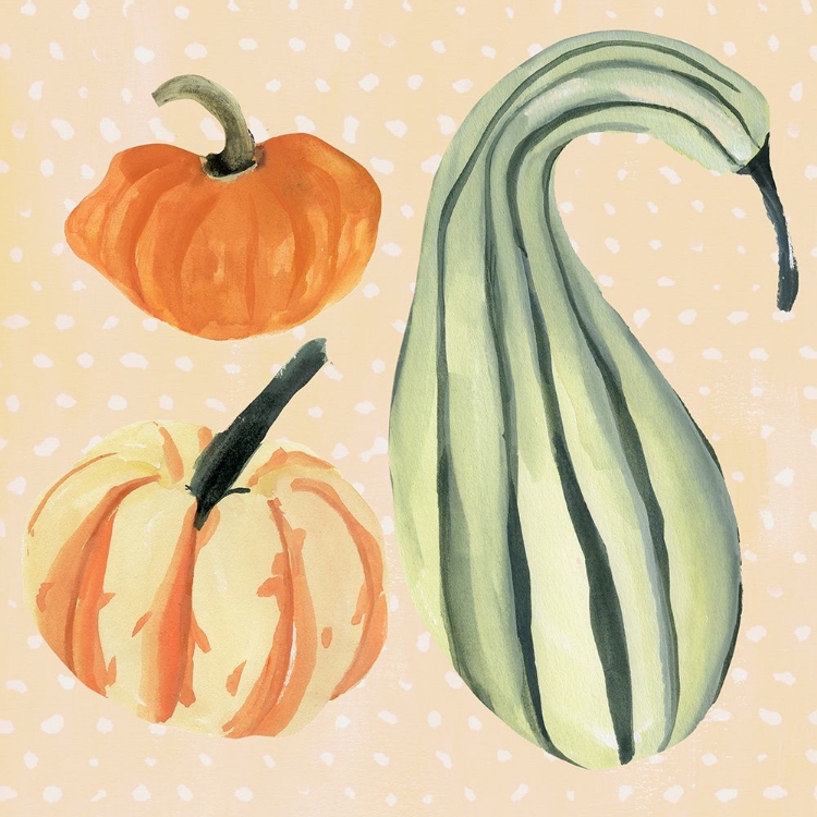 Picture of DECORATIVE GOURD III