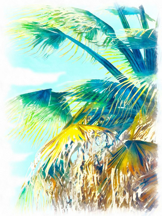 Picture of TROPICAL GLOW II