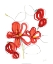 Picture of PRIMARY PETAL II