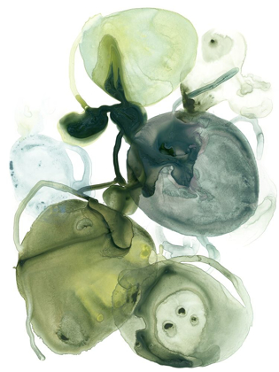 Picture of ORBITAL LICHEN I
