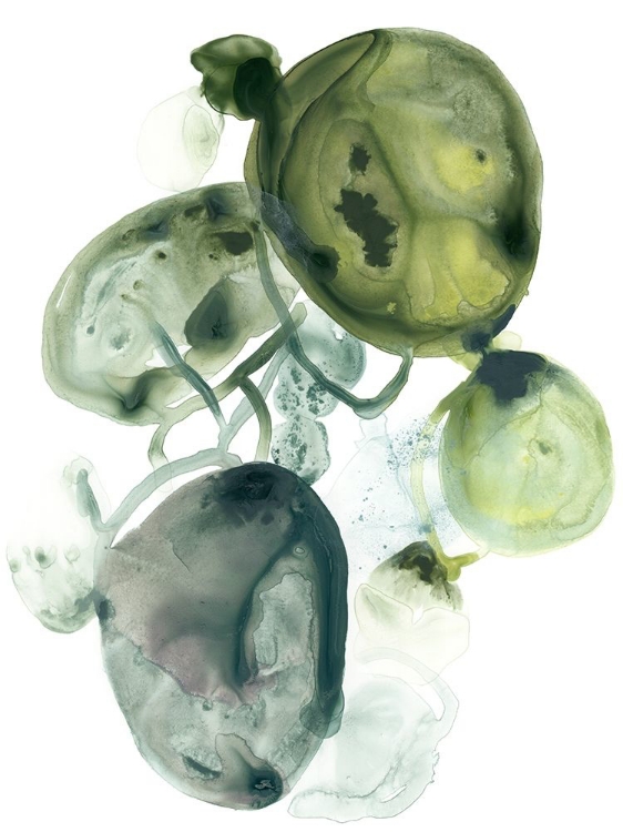 Picture of ORBITAL LICHEN II