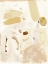 Picture of MARKINGS IN BEIGE II