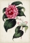 Picture of GARDEN GEMS II