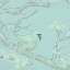 Picture of BACKYARD BIRD SKETCH I