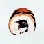 Picture of SUSHI STYLE VI