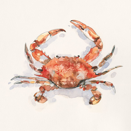 Picture of CRUSTY CRAB I