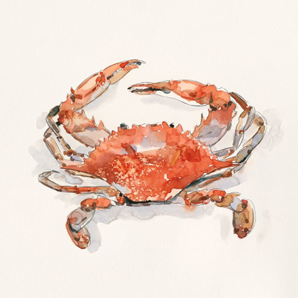 Picture of CRUSTY CRAB II