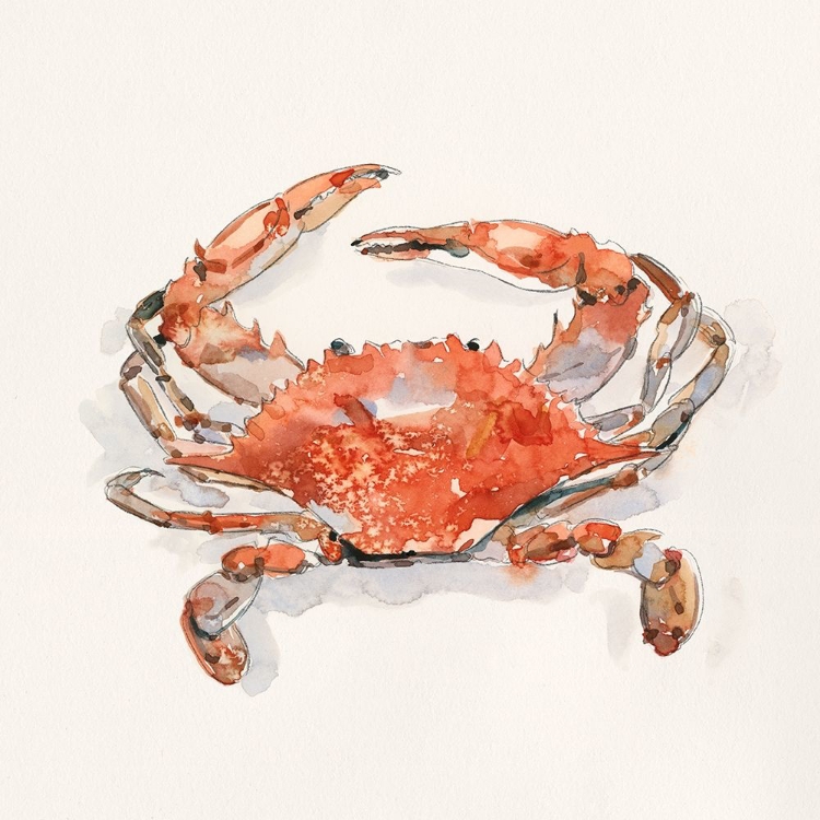 Picture of CRUSTY CRAB II