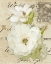 Picture of WISHING YOU WELL I