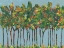 Picture of SUNSET TREES I