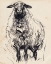 Picture of CHARCOAL SHEEP I