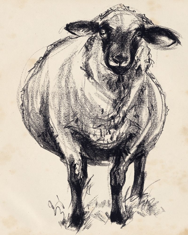 Picture of CHARCOAL SHEEP II
