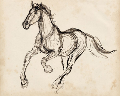 Picture of GESTURAL APALOOSA I