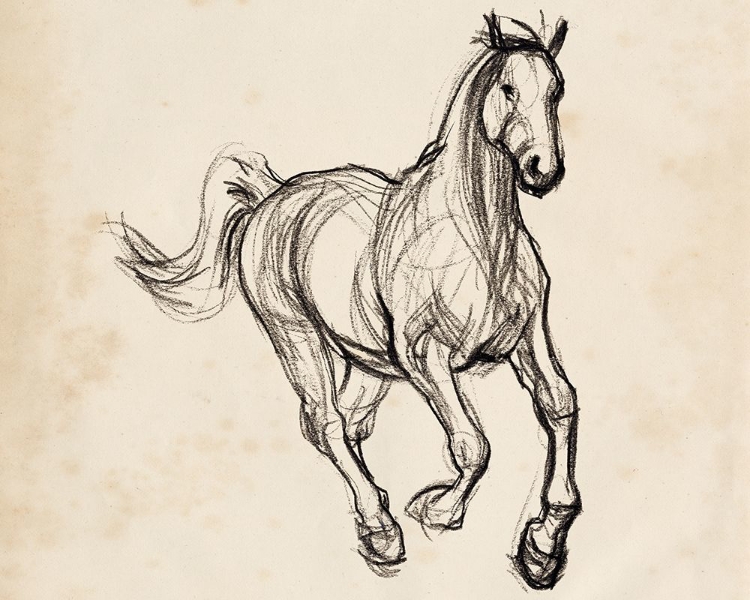 Picture of GESTURAL APALOOSA II