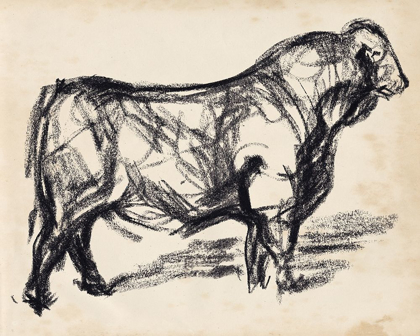 Picture of BLACK ANGUS I