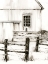 Picture of RUSTIC BARBED WIRE II