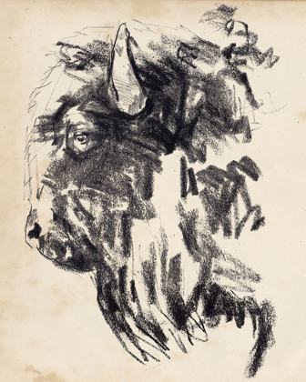 Picture of BISON HEAD GESTURE II