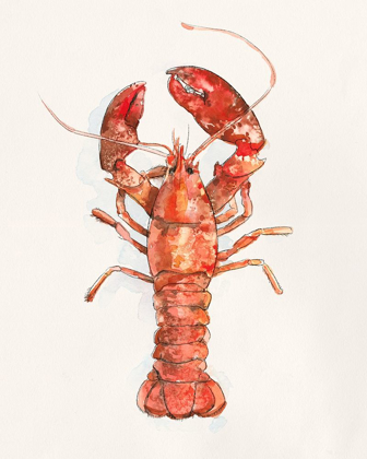 Picture of SALTY LOBSTER II