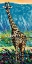 Picture of REGAL GIRAFFE I