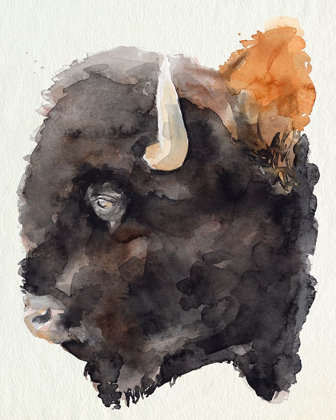 Picture of WATERCOLOR BISON PROFILE II