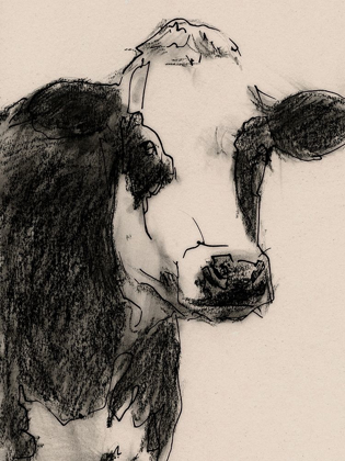 Picture of COW PORTRAIT SKETCH I