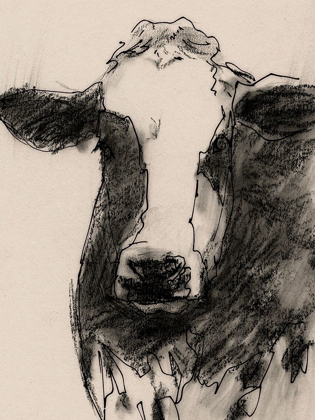Picture of COW PORTRAIT SKETCH II