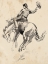 Picture of KING OF THE RODEO II