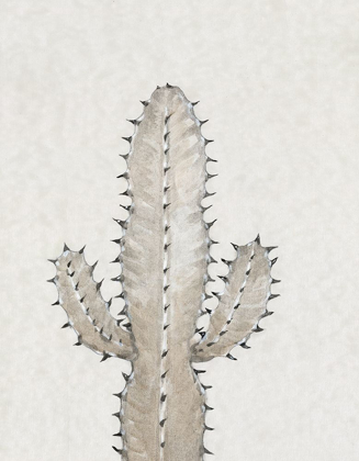 Picture of CACTUS STUDY I