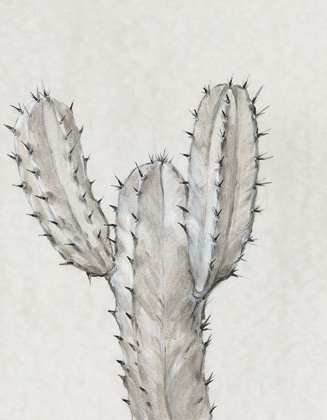 Picture of CACTUS STUDY II