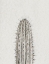 Picture of CACTUS STUDY III