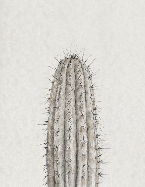 Picture of CACTUS STUDY III