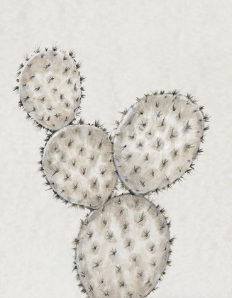 Picture of CACTUS STUDY IV