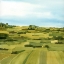 Picture of GREEN GOLD VALLEY I