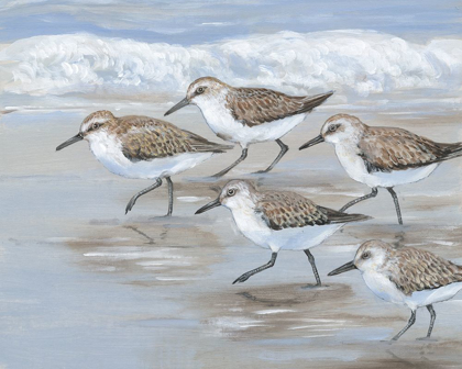 Picture of SANDPIPERS I