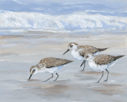 Picture of SANDPIPERS II