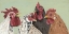 Picture of FOUR ROOSTERS
