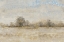 Picture of LATE HARVEST II