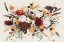Picture of EQUINOX BOUQUET III