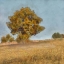 Picture of AUTUMNS TRANQUILITY II