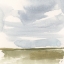 Picture of OPEN FIELD SKETCH I