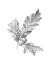 Picture of OAK LEAF PENCIL SKETCH I