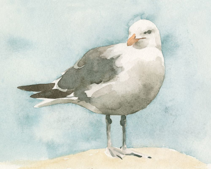 Picture of SIMPLE SEAGULL I