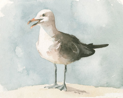 Picture of SIMPLE SEAGULL II