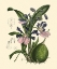 Picture of EXOTIC FOLIAGE IV