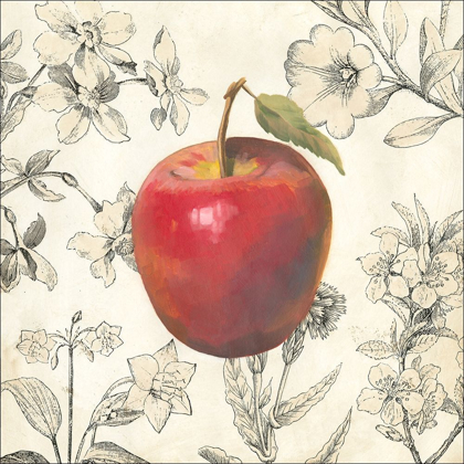 Picture of APPLE AND BOTANICALS