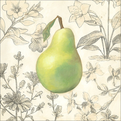 Picture of PEAR AND BOTANICALS