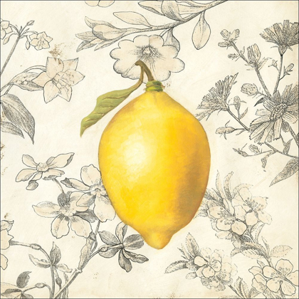 Picture of LEMON AND BOTANICALS