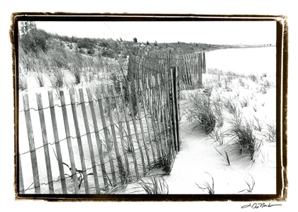 Picture of BEACH SCAPE I