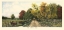 Picture of THE COUNTRY ROAD